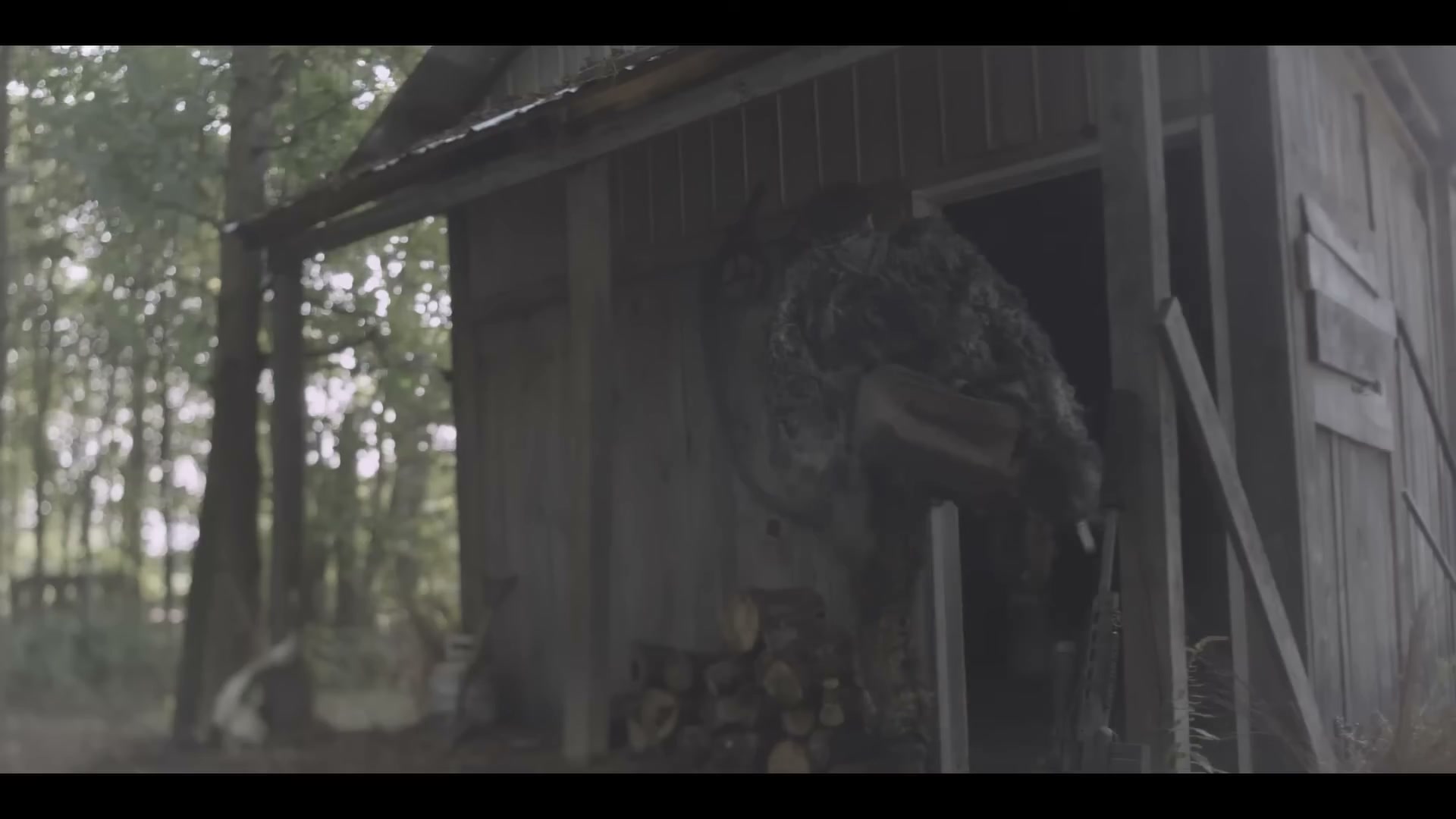 Ghillie suit at the barn